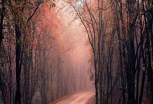 熊猫体育官网:“中国足球产业规模预计到2025年超过2万亿元”.