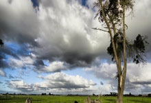 弗林蓬:很遗憾最后时刻丢球 像今天这样踢球我们有很大机会晋级.