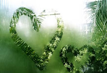 熊猫体育官网:半场战报:波鸿-法兰克福,巴霍亚破门,拉斯穆斯-克里斯滕森建功.