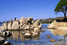 以前与现在丨2002年世界杯巴西队主力阵容23年的变化.